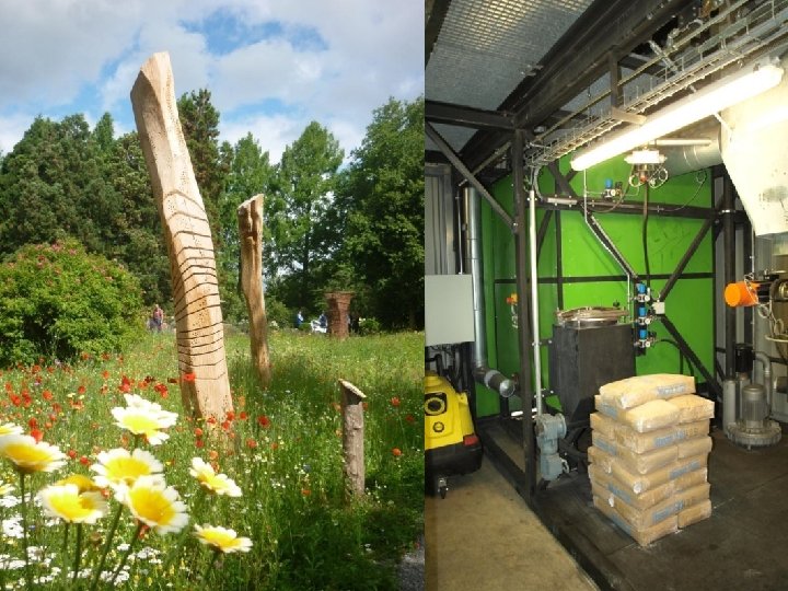  The European Business and Biodiversity Campaign 