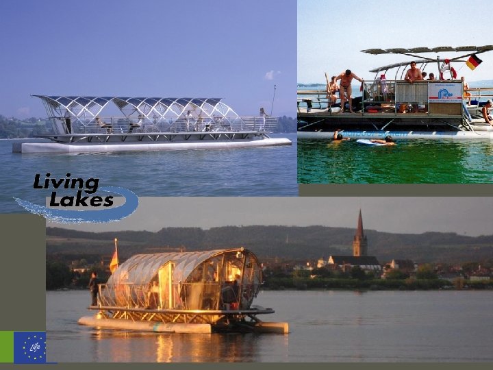  The European Business and Biodiversity Campaign 