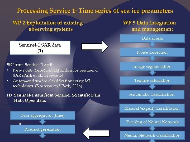 Processing Service 1: Time series of sea ice parameters WP 2 Exploitation of existing