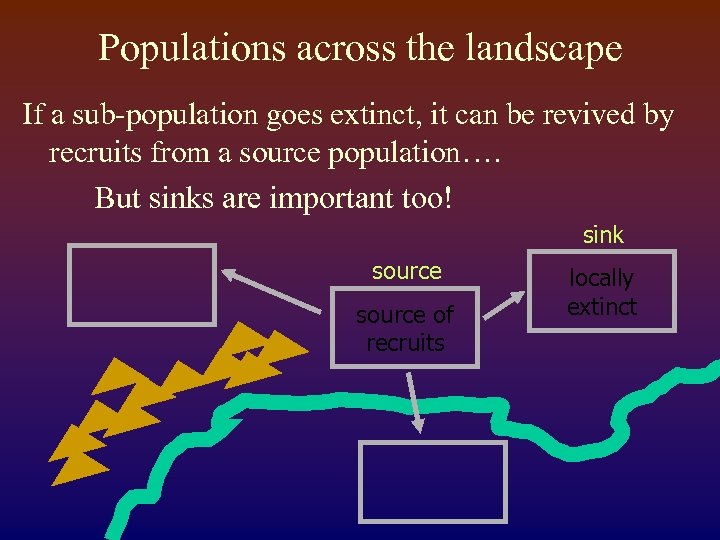 Populations across the landscape If a sub-population goes extinct, it can be revived by