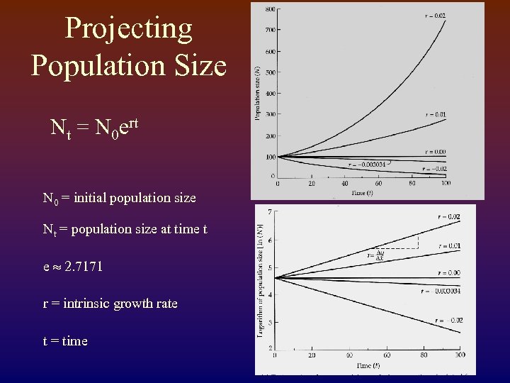 Projecting Population Size Nt = N 0 ert N 0 = initial population size
