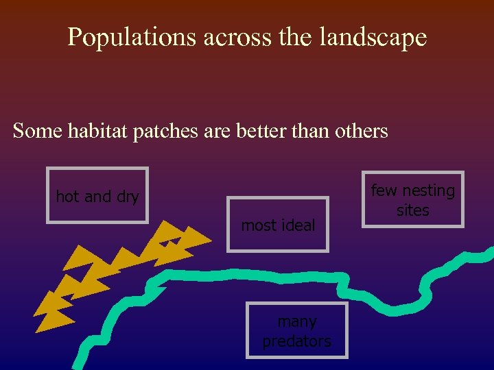 Populations across the landscape Some habitat patches are better than others hot and dry
