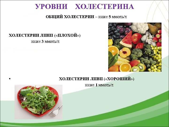 УРОВНИ ХОЛЕСТЕРИНА ОБЩИЙ ХОЛЕСТЕРИН – ниже 5 ммоль/л ХОЛЕСТЕРИН ЛПНП ( «ПЛОХОЙ» ) ниже