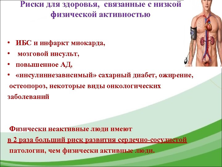 Риски для здоровья, связанные с низкой физической активностью • ИБС и инфаркт миокарда, •