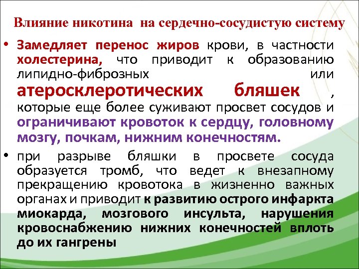 Влияние никотина на сердечно-сосудистую систему • Замедляет перенос жиров крови, в частности холестерина, что