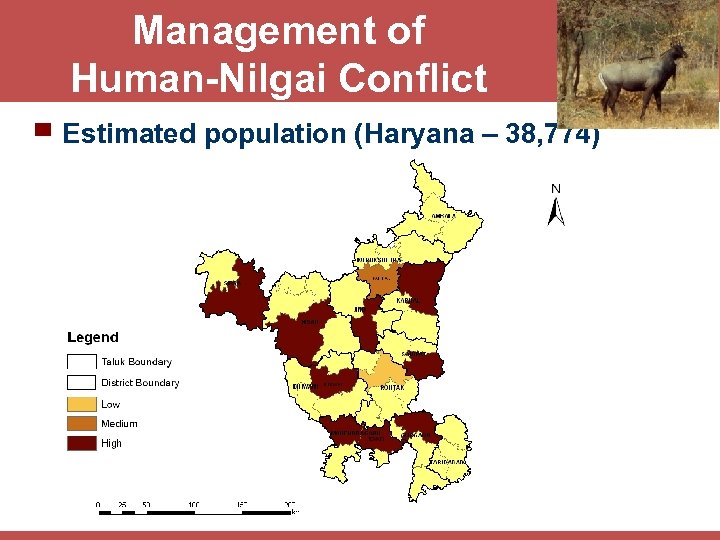 Management of Human-Nilgai Conflict ▀ Estimated population (Haryana – 38, 774) 