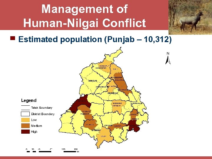 Management of Human-Nilgai Conflict ▀ Estimated population (Punjab – 10, 312) 
