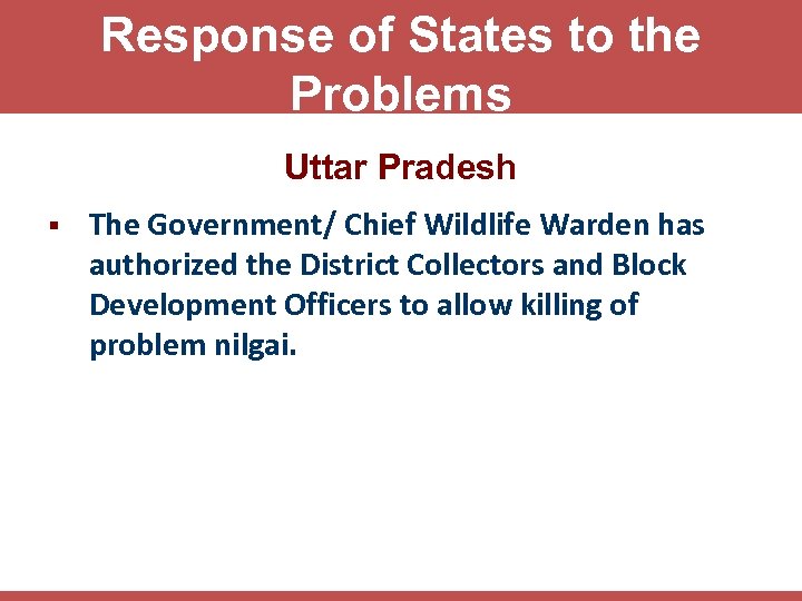 Response of States to the Problems Uttar Pradesh § The Government/ Chief Wildlife Warden