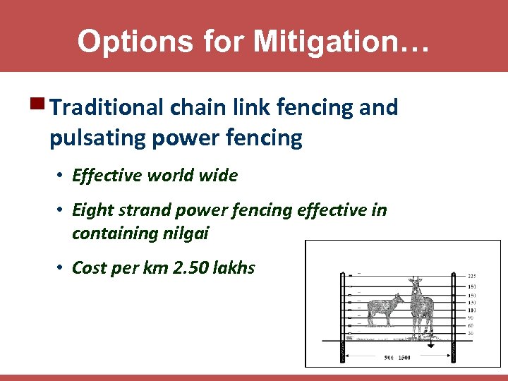 Options for Mitigation… ▀ Traditional chain link fencing and pulsating power fencing • Effective