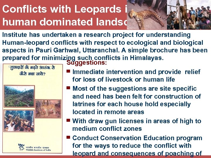Conflicts with Leopards in human dominated landscapes Institute has undertaken a research project for