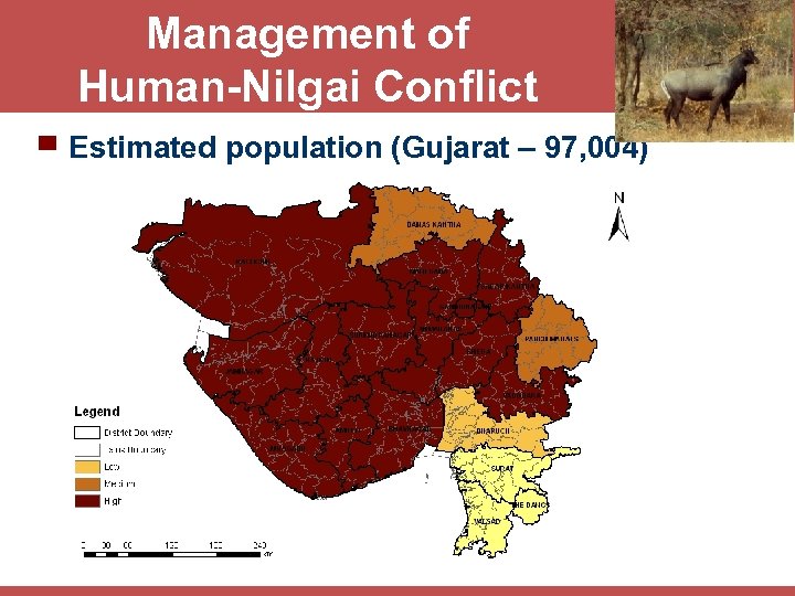Management of Human-Nilgai Conflict ▀ Estimated population (Gujarat – 97, 004) 