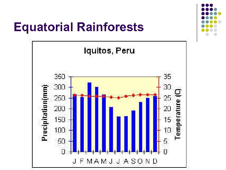 Equatorial Rainforests 