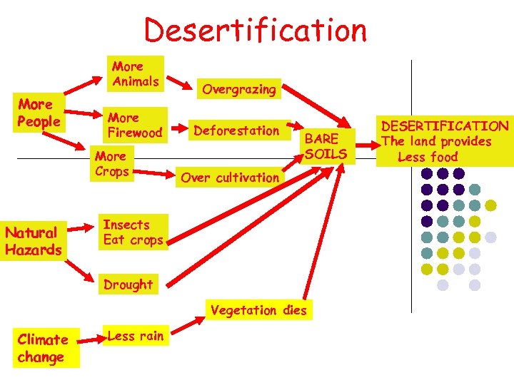 Desertification More Animals More People More Firewood More Crops Natural Hazards Overgrazing Deforestation BARE