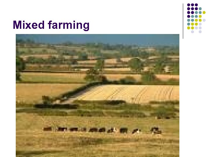 Mixed farming 