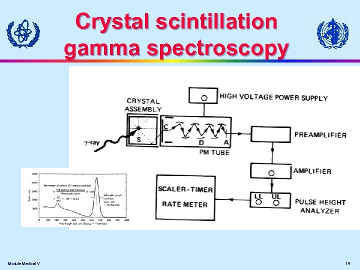 Crystal scintillation gamma spectroscopy Module Medical V 19 