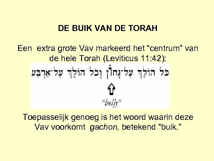 DE BUIK VAN DE TORAH Een extra grote Vav markeerd het “centrum” van de