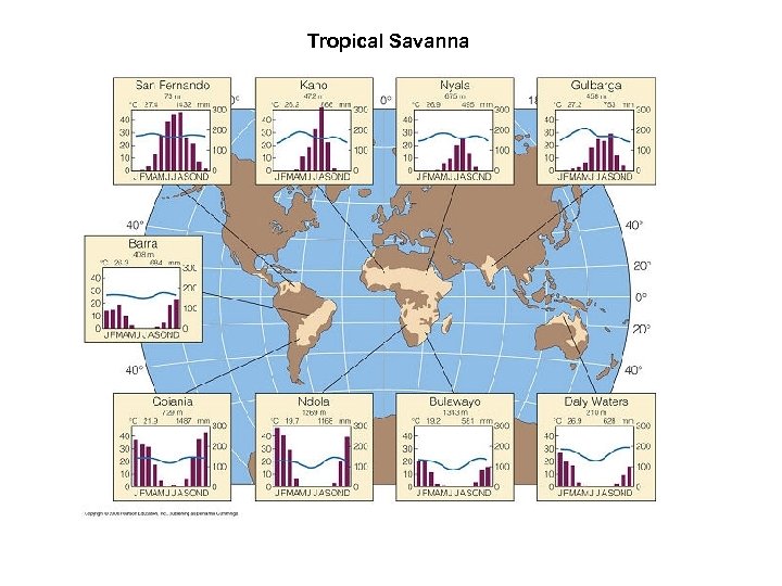 Tropical Savanna 