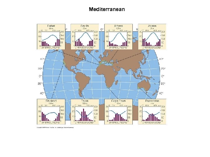 Mediterranean 