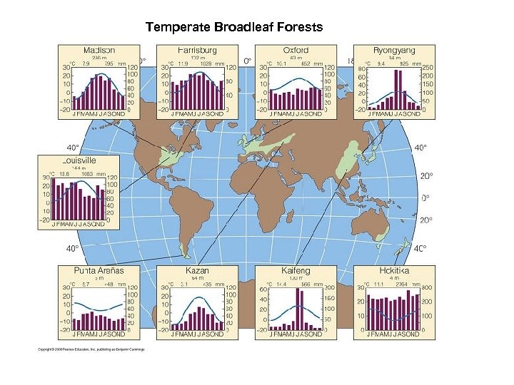 Temperate Broadleaf Forests 