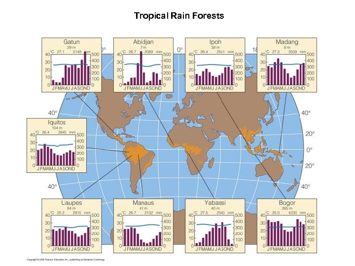 Tropical Rain Forests 