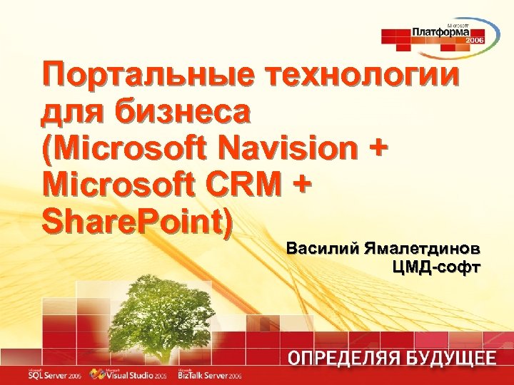 Портальные технологии для бизнеса (Microsoft Navision + Microsoft CRM + Share. Point) Василий Ямалетдинов