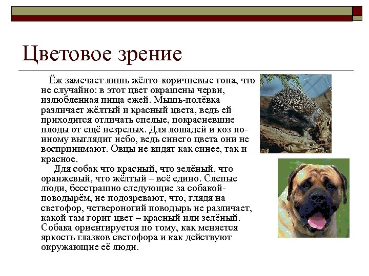 Цветовое зрение Ёж замечает лишь жёлто-коричневые тона, что не случайно: в этот цвет окрашены