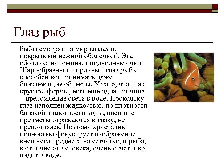 Глаз рыб Рыбы смотрят на мир глазами, покрытыми нежной оболочкой. Эта оболочка напоминает подводные