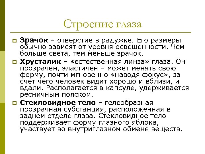 Строение глаза p p p Зрачок – отверстие в радужке. Его размеры обычно зависят