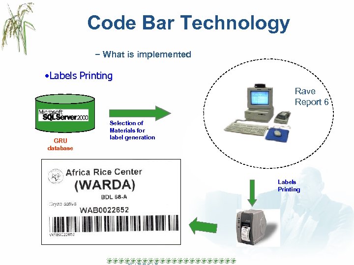 Code Bar Technology − What is implemented • Labels Printing Rave Report 6 GRU