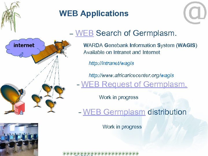 WEB Applications – internet WEB Search of Germplasm. WARDA Genebank Information System (WAGIS) Available