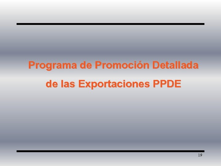 Programa de Promoción Detallada de las Exportaciones PPDE 19 
