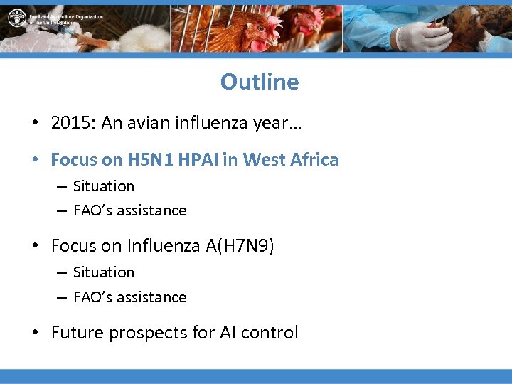 Outline • 2015: An avian influenza year… • Focus on H 5 N 1