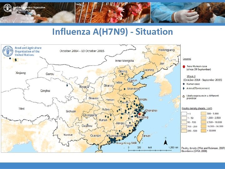 Influenza A(H 7 N 9) - Situation 