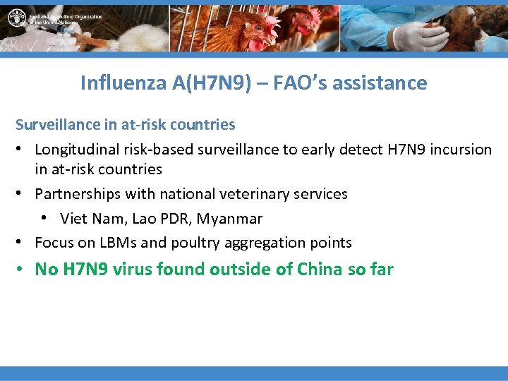 Influenza A(H 7 N 9) – FAO’s assistance Surveillance in at-risk countries • Longitudinal