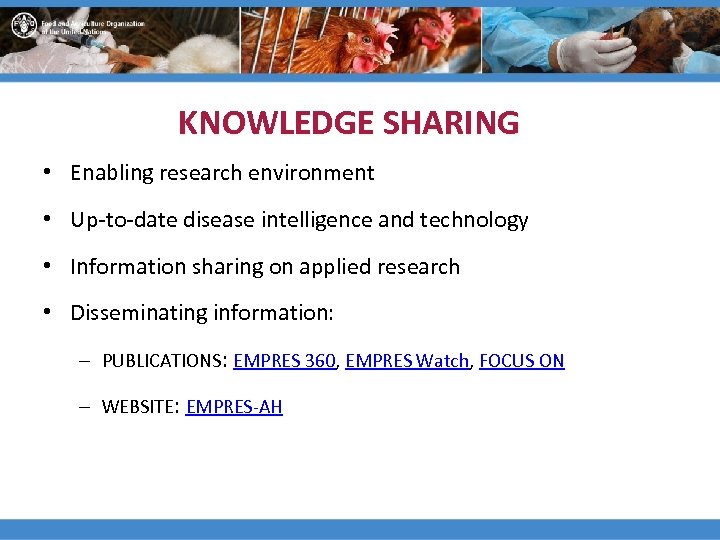KNOWLEDGE SHARING • Enabling research environment • Up-to-date disease intelligence and technology • Information
