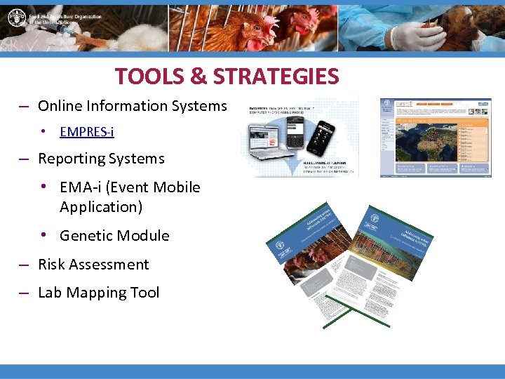 TOOLS & STRATEGIES – Online Information Systems • EMPRES-i – Reporting Systems • EMA-i
