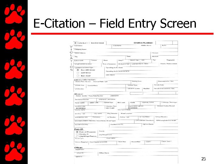 E-Citation – Field Entry Screen 23 