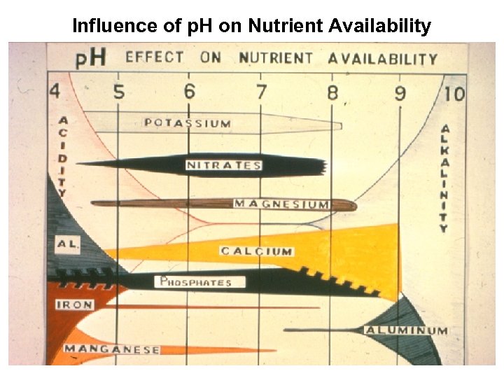 Influence of p. H on Nutrient Availability 