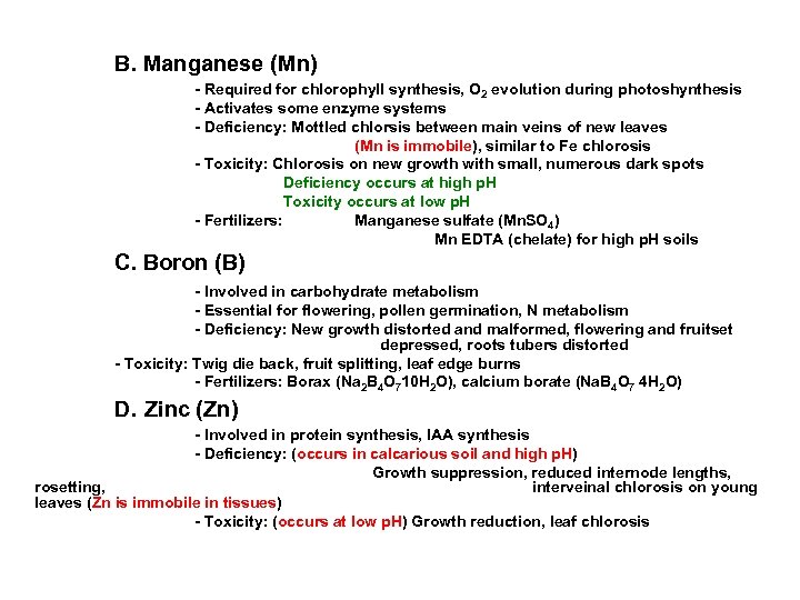 B. Manganese (Mn) - Required for chlorophyll synthesis, O 2 evolution during photoshynthesis -