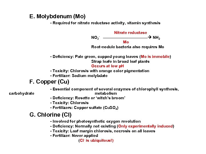 E. Molybdenum (Mo) - Required for nitrate reductase activity, vitamin synthesis Nitrate reductase NO