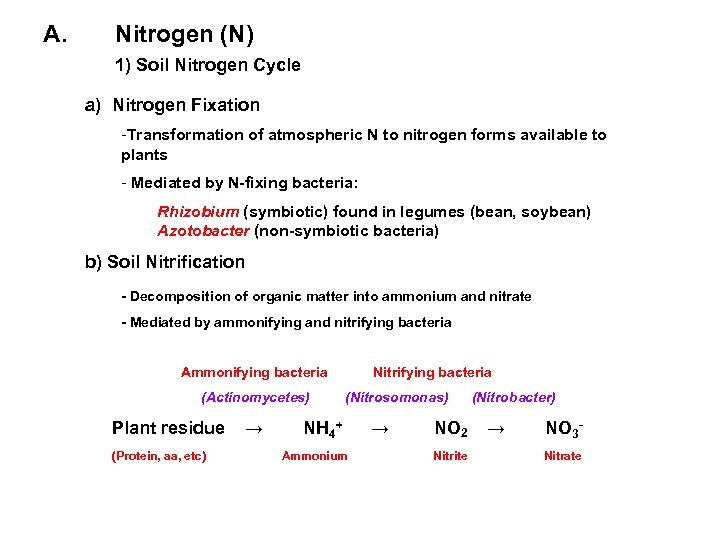 A. Nitrogen (N) 1) Soil Nitrogen Cycle a) Nitrogen Fixation -Transformation of atmospheric N