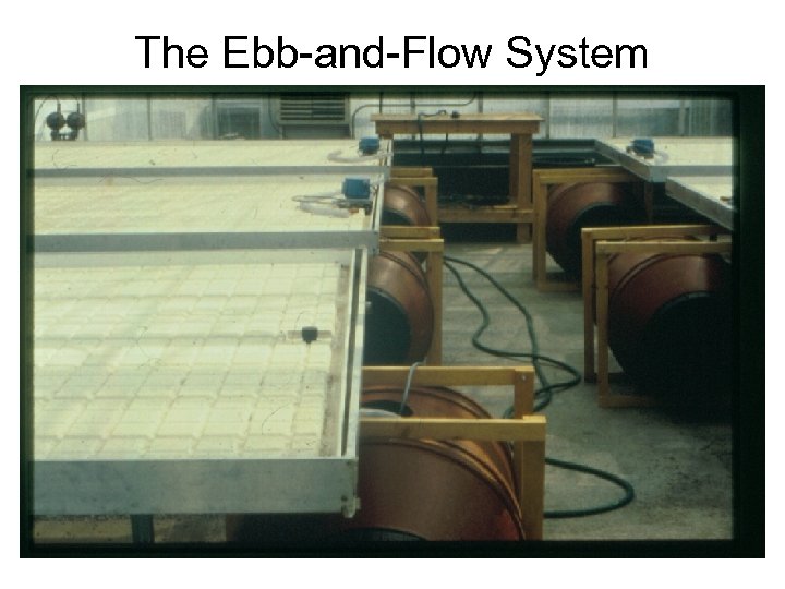 The Ebb-and-Flow System 