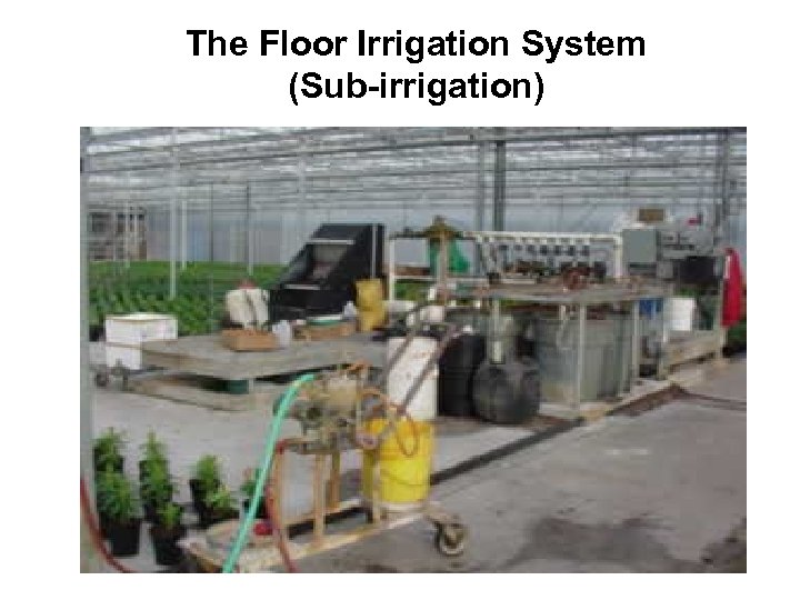 The Floor Irrigation System (Sub-irrigation) 