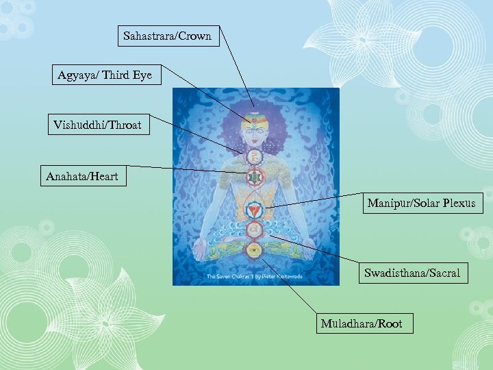 Sahastrara/Crown Agyaya/ Third Eye Vishuddhi/Throat Anahata/Heart Manipur/Solar Plexus Swadisthana/Sacral Muladhara/Root 