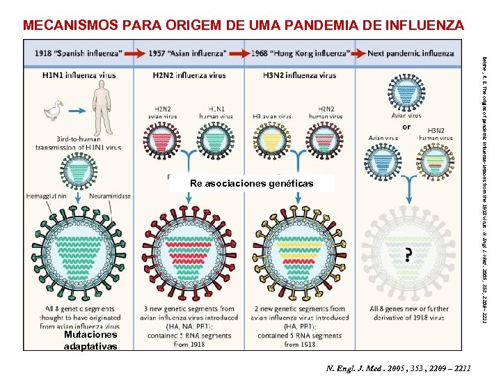 MECANISMOS PARA ORIGEM DE UMA PANDEMIA DE INFLUENZA Belshe , R. B. The origins