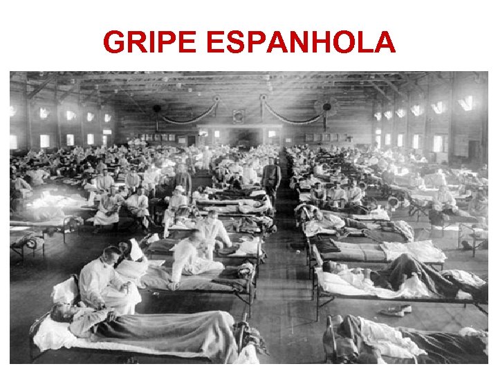 GRIPE ESPANHOLA 