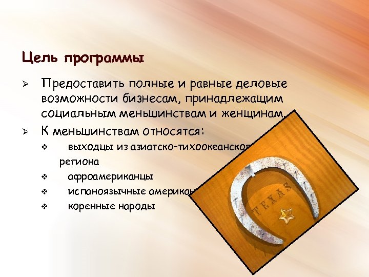 Цель программы Ø Ø Предоставить полные и равные деловые возможности бизнесам, принадлежащим социальным меньшинствам