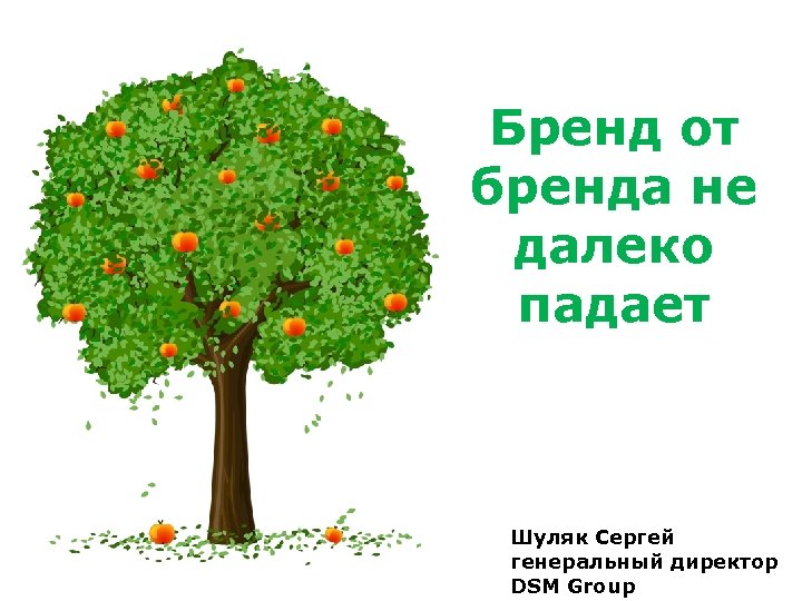 Бренд от бренда не далеко падает Шуляк Сергей генеральный директор DSM Group 