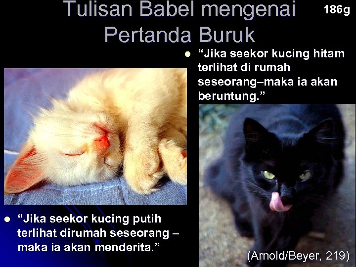 Tulisan Babel mengenai Pertanda Buruk l l “Jika seekor kucing putih terlihat dirumah seseorang