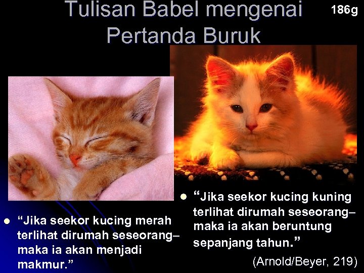 Tulisan Babel mengenai Pertanda Buruk l l “Jika seekor kucing merah terlihat dirumah seseorang–